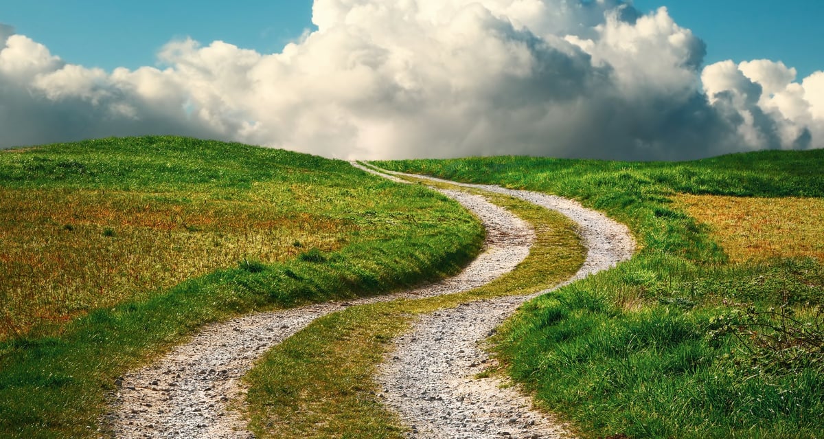 Dirt trail winding through open meadow with minimal trees under a blue sky
